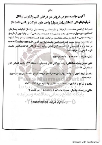 مزایده عمومی فروش سردرختی کلی و کیلویی پرتقال ناولینا و نارنگی کلمانتین (ماریسول)