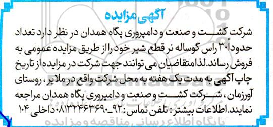 مزایده فروش تعداد حدودا 30 راس گوساله نر قطع شیر
