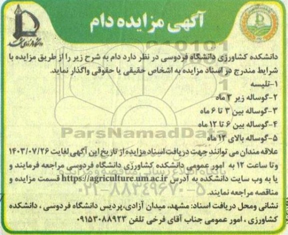  مزایده دام 