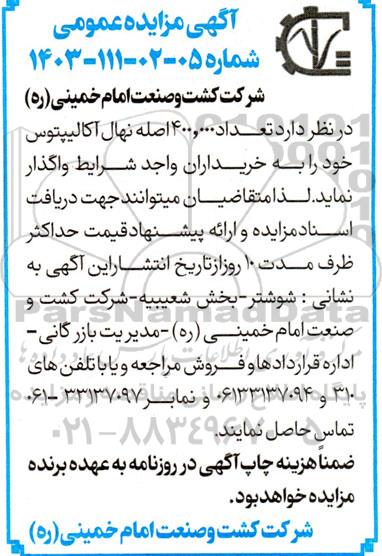 مزایده تعداد 400.000 اصله نهال اکالیپتوس