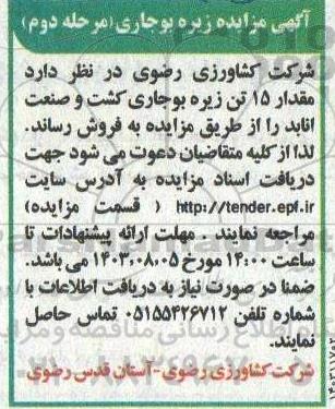 مزایده فروش مقدار 15 تن زیره بوجاری کشت و صنعت انابد - مرحله دوم 