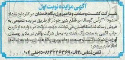 مزایده فروش تعداد حدودا 30 راس گوساله نر قطع شیر