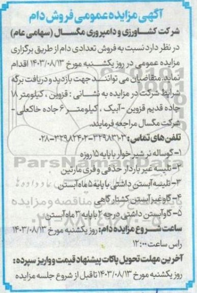 مزایده فروش دام