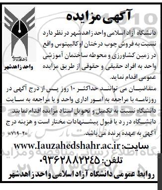 مزایده فروش چوب درختان او کالیپتوس
