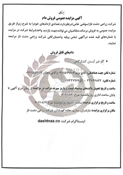 مزایده عمومی فروش دام