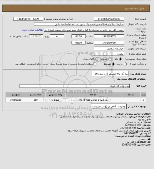 استعلام پیاز گل لاله هلندی F1 با مش 10+