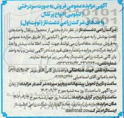 مزایده‌ عمومی فروش به صورت سردرختی (کیلویی) انواع پرتقال