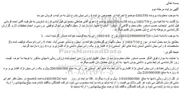 مزایده فروش تعداد4 راس میش آبستن نژاد افشاری با شرایط ماه های آخر آبستنی