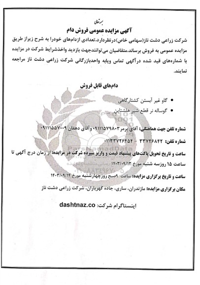 مزایده عمومی فروش دام