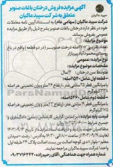  مزایده فروش درختان باغات صنوبر 
