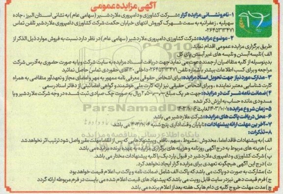 مزایده تلیسه آبستن و تلیسه های غیر آبستن پای کل