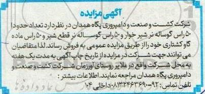 مزایده فروش  تعداد حدودا 50 راس گوساله نر شیرخوار و 50 راس گوساله نر قطع شیر