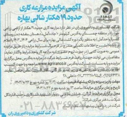 مزایده مزارعه کاری حدود 19 هکتار شالی بهاره 
