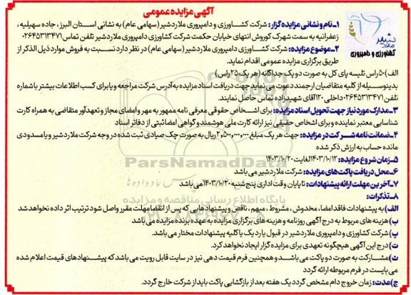 مزایده 50 راس تلیسه پای کل به صورت دو پک جداگانه (هر پک 25 راس)
