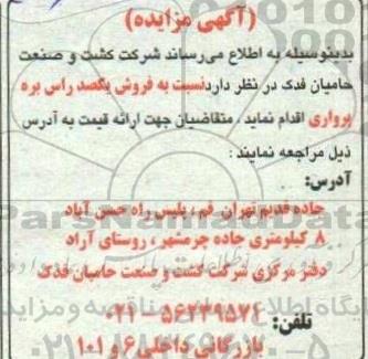 مزایده  فروش یکصد راس بره پرواری 