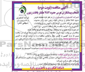  مناقصه انتخاب پیمانکاران هرس حدود 787 هکتار باغات زیتون- نوبت دوم 