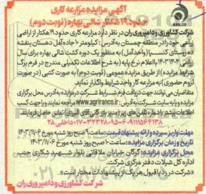  مزایده مزارعه کاری حدود 19 هکتار شالی بهاره - نوبت دوم
