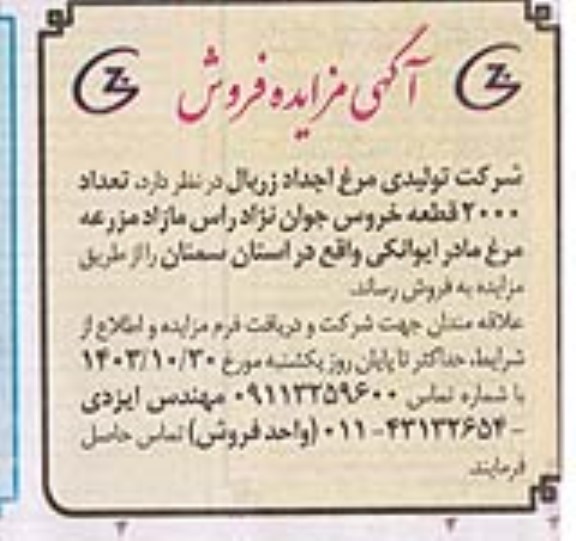 مزایده فروش  تعداد 2000 قطعه خروس جوان