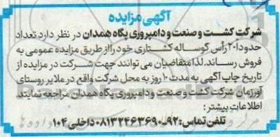 مزایده فروش تعداد حدودا 20 راس گوساله کشتاری 