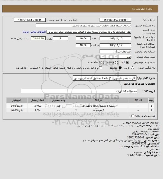 استعلام گل سینه ری (سینرر) گل پامچال مطابق استعلام پیوستی