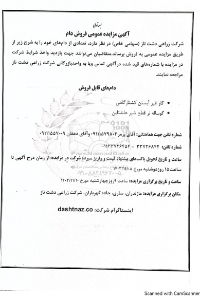 مزایده عمومی فروش دام
