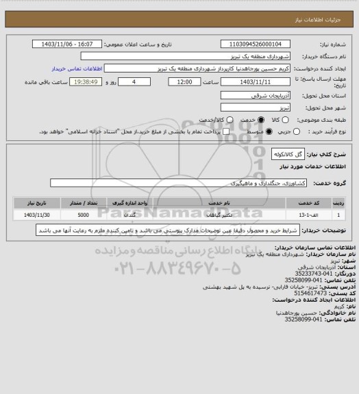 استعلام گل کالانکوئه