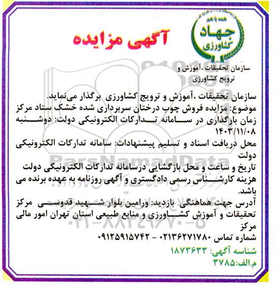 مزایده فروش چوب درختان سربرداری شده خشک