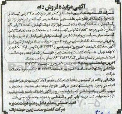 مزایده فروش دام، تعداد 134 راس گوساله نر...
