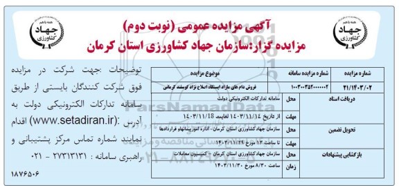 مزایده فروش دام های مازاد ایستگاه اصلاح نژاد گوسفند -نوبت دوم