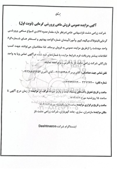 مزایده عمومی فروش ماهی پرورشی گرمابی