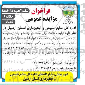 فراخوان مزایده و مناقصه تولید و کاشت نهال صنوبر 
