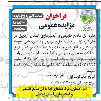 فراخوان مزایده و مناقصه تولید و کاشت نهال صنوبر -نوبت دوم