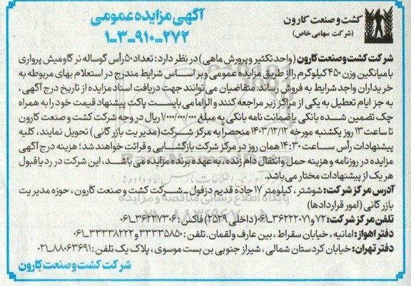 مزایده تعداد 50 رأس گوساله نر گاومیش پرواری با میانگین وزن 450 کیلوگرم 