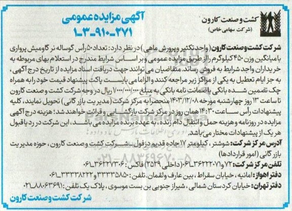 مزایده تعداد 50 رأس گوساله نر گاومیش پرواری با میانگین وزن 450 کیلوگرم 