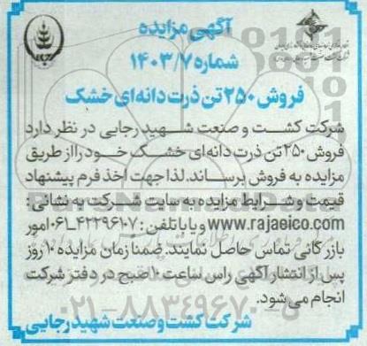مزایده فروش 250 تن ذرت دانه ای خشک
