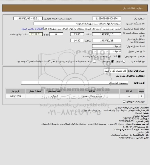 استعلام گل جعفری گل درشت