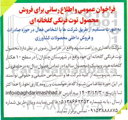 فراخوان عمومی و اطلاع رسانی برای فروش محصول توت فرنگی گلخانه ای