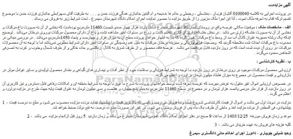 مزایده محصول مرکبات