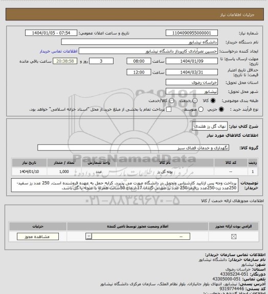 استعلام نهال گل رز هلندی