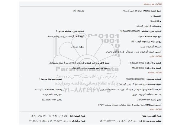مزایده، 16 راس گوساله