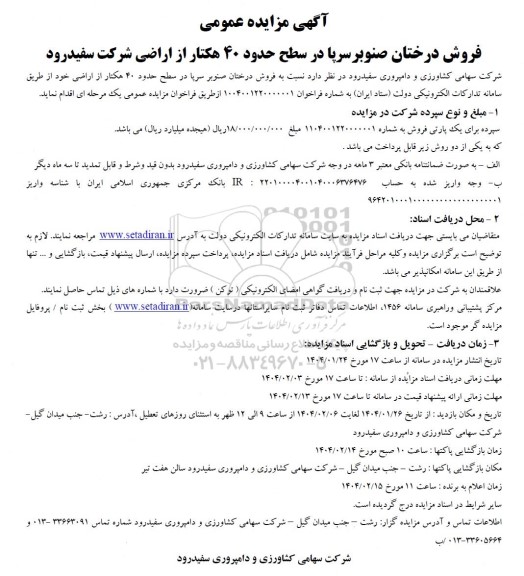 مزایده فروش درختان صنوبر سرپا 