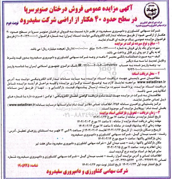 مزایده فروش درختان صنوبر سرپا  ​​​​​​​نوبت دوم 