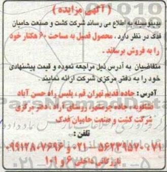 مزایده محصول فصیل به مساحت 60 هکتار
