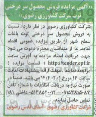 مزایده فروش محصول سردرختی توت باغات سطح شهر