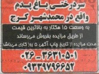 مزایده فروش سردرختی باغ پدم 