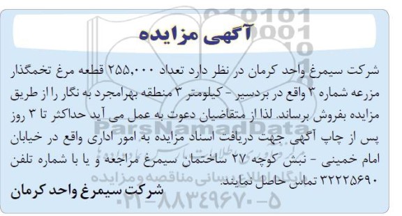 مزایده 255.000 قطعه مرغ تخمگذار 
