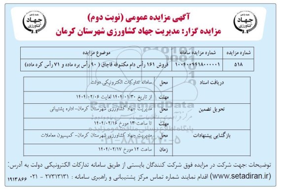 مزایده فروش 161 راس دام مکشوفه قاچاق (90 راس بره ماده و 71 راس کره ماده)
