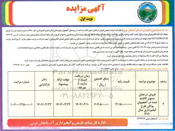 مزایده عمومی فروش درختان صنوبر کاشته شده
