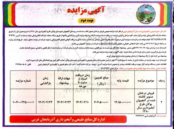 مزایده عمومی فروش درختان صنوبر کاشته شده نوبت دوم