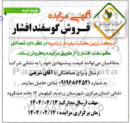  مزایده فروش گوسفند افشار - نوبت دوم 